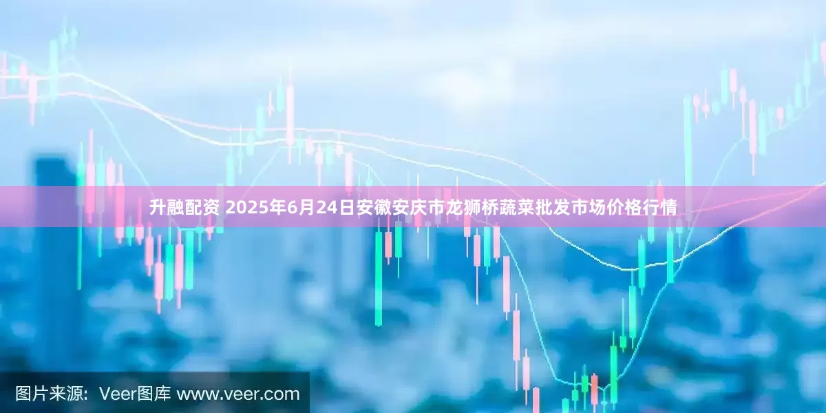 升融配资 2025年6月24日安徽安庆市龙狮桥蔬菜批发市场价格行情