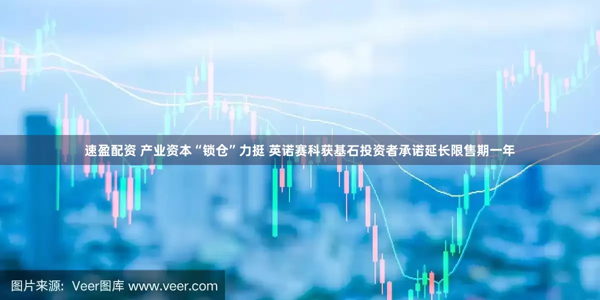 速盈配资 产业资本“锁仓”力挺 英诺赛科获基石投资者承诺延长限售期一年