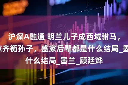 沪深A融通 明兰儿子成西域驸马，长柏孙女嫁齐衡孙子，盛家后辈都是什么结局_墨兰_顾廷烨