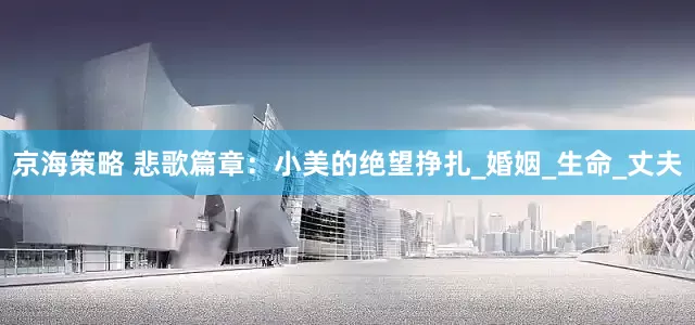 京海策略 悲歌篇章：小美的绝望挣扎_婚姻_生命_丈夫
