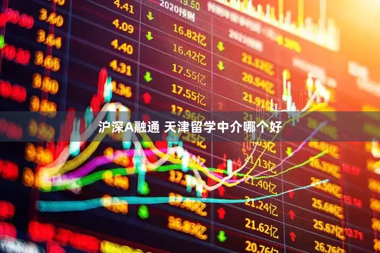 沪深A融通 天津留学中介哪个好